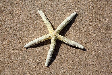 《偶像大师 星耀季节》第6弹DLC宣传影片公开 3月10日发售